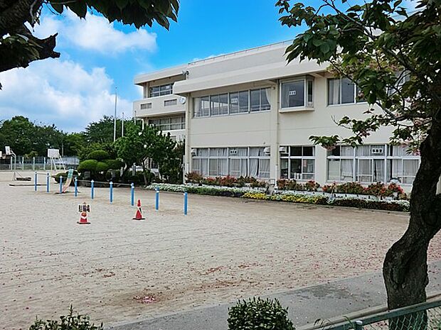 小学校 500m 我孫子市立新木小学校
