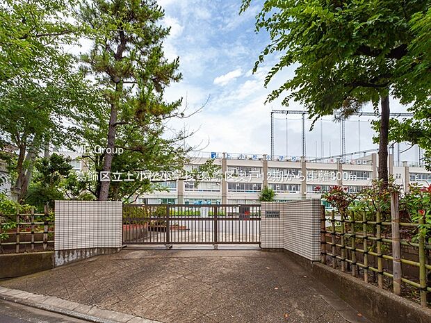 小学校 800m 葛飾区立上小松小学校