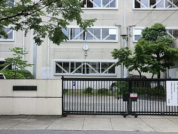 中学校 859m 松戸市立第三中学校