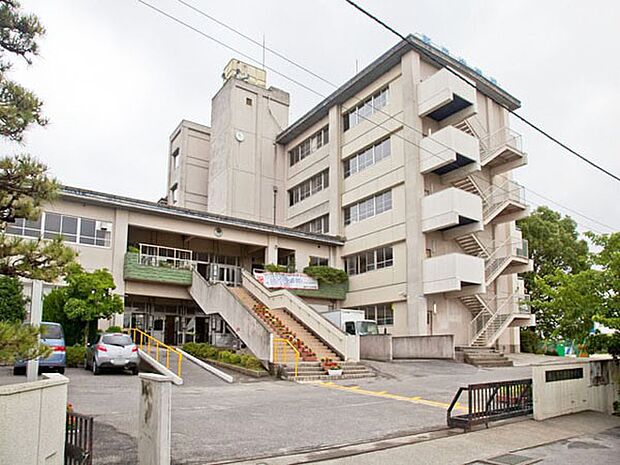 中学校 1000m 越谷市立新栄中学校