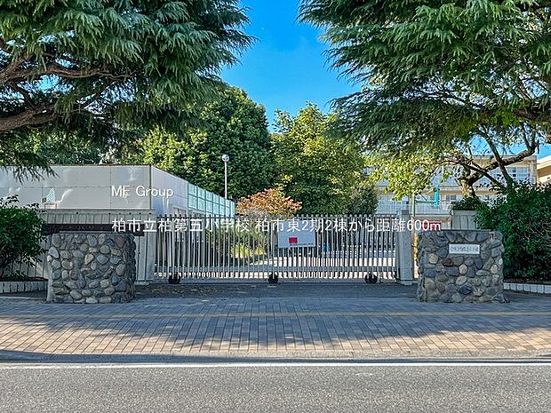 小学校 600m 柏市立柏第五小学校