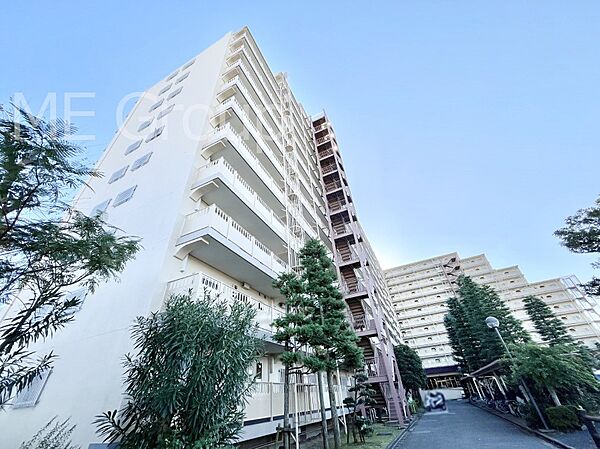 外観：312001219546