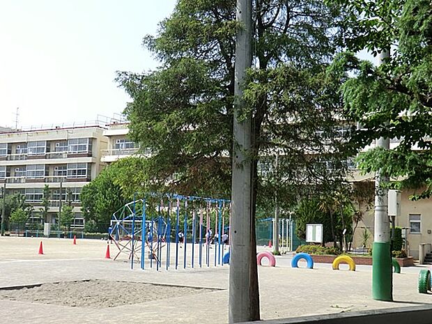 小学校 500m 川口市立青木中央小学校