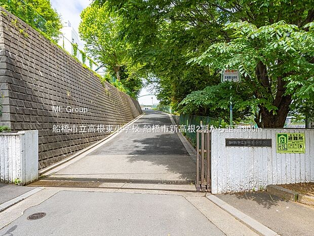 小学校 900m 船橋市立高根東小学校