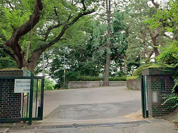 中学校 920m 川口市立芝中学校