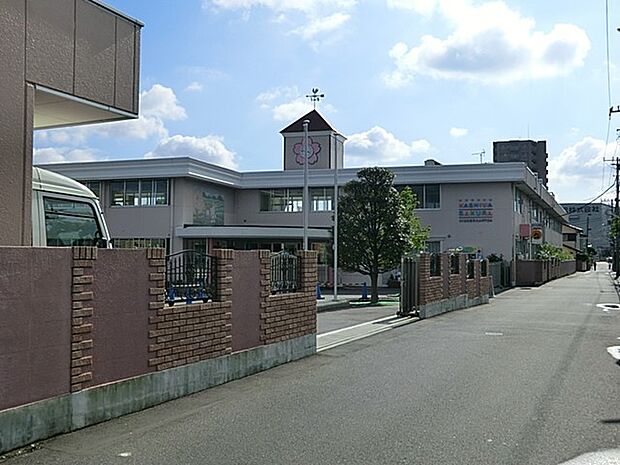 幼稚園・保育園 1100m 柏さくら幼稚園