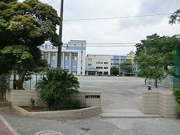 中学校 1100m 江戸川区立瑞江中学校