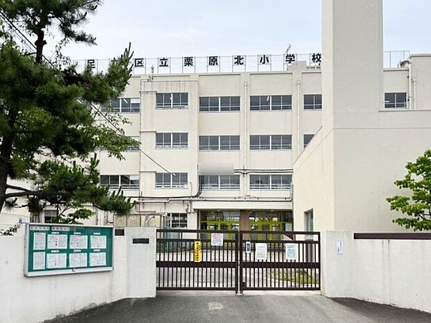 小学校 300m 足立区立栗原北小学校