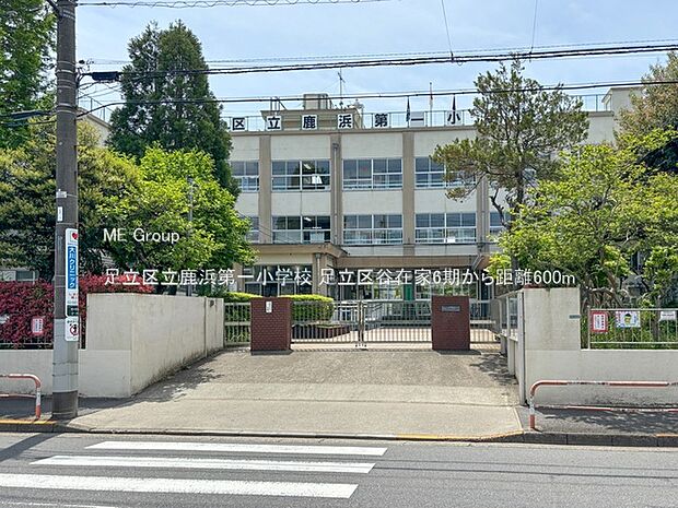 小学校 600m 足立区立鹿浜第一小学校