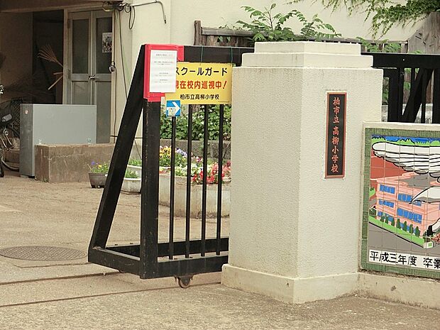 小学校 694m 柏市立高柳小学校