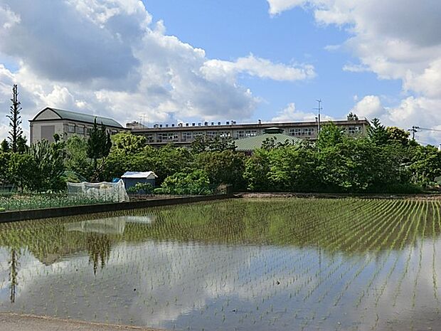 中学校 1580m 越谷市立南中学校