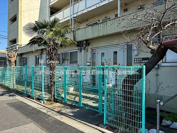 幼稚園・保育園 300m 新田さくら保育園