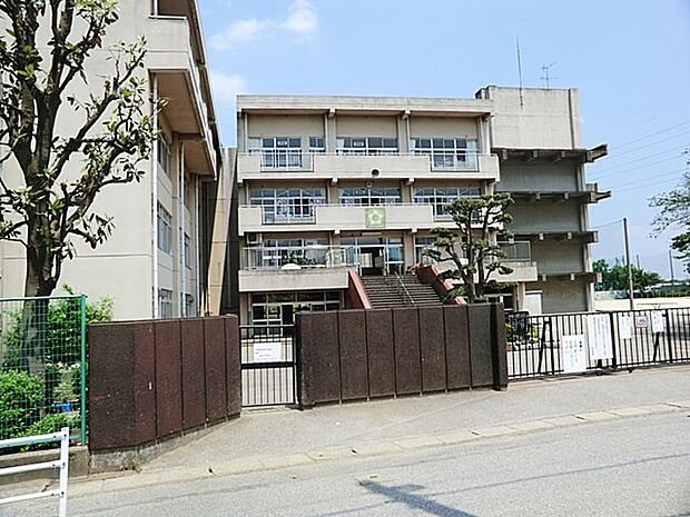 小学校 345m 松戸市立大橋小学校