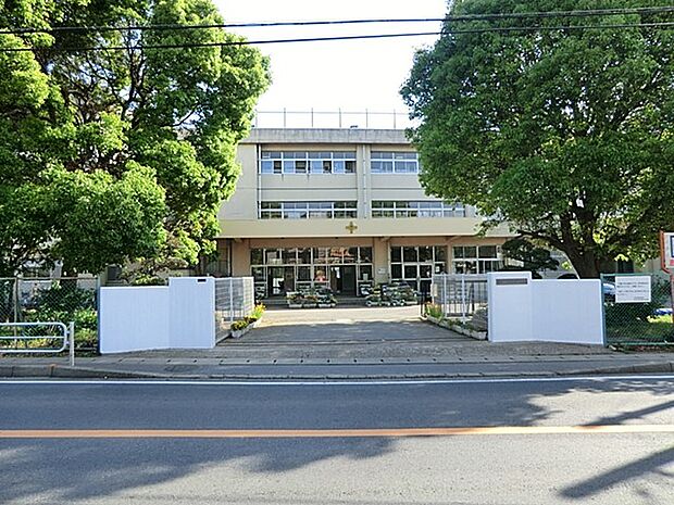 小学校 800m 柏市立酒井根小学校