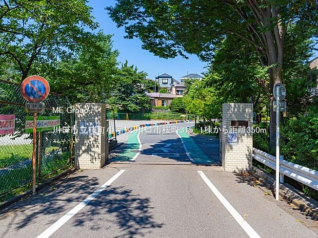 小学校 350m 川口市立桜町小学校
