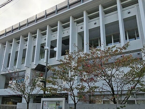 中学校 800m 北区立明桜中学校