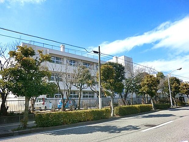 小学校 420m 浦安市立見明川小学校