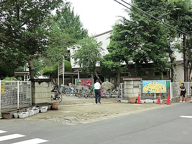 小学校 1300m 柏市立柏第一小学校