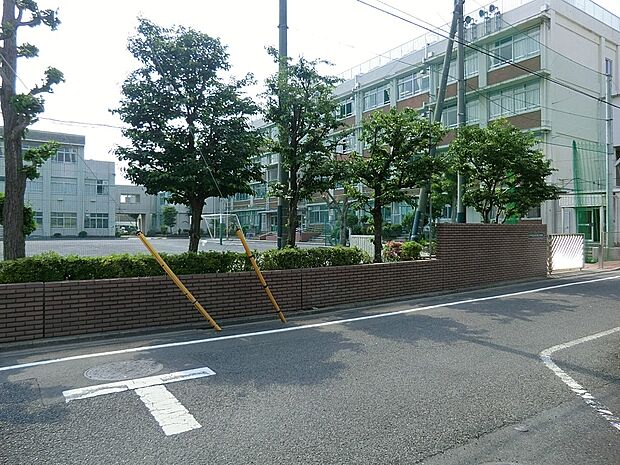 中学校 1500m 江戸川区立松江第二中学校