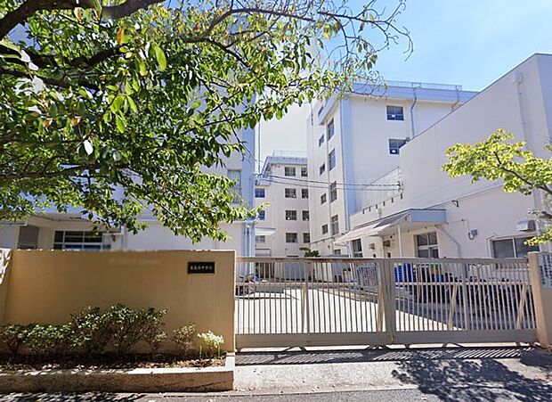 中学校 800m 江戸川区立東葛西中学校