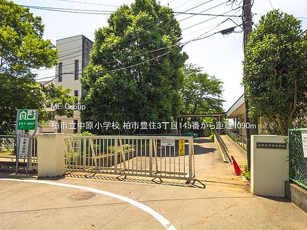 小学校 1090m 柏市立中原小学校