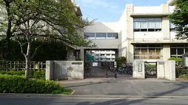 小学校 270m 葛飾区立上千葉小学校