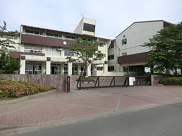 小学校 550m 松戸市立新松戸西小学校
