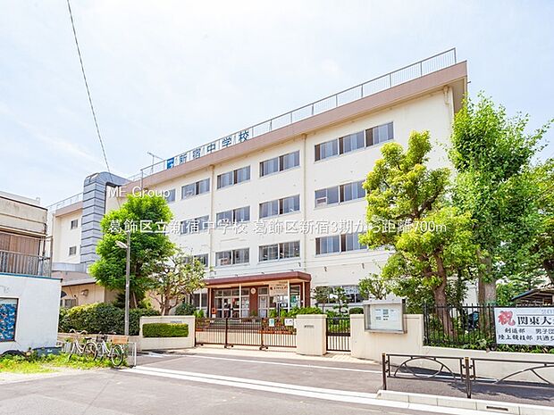 中学校 700m 葛飾区立新宿中学校