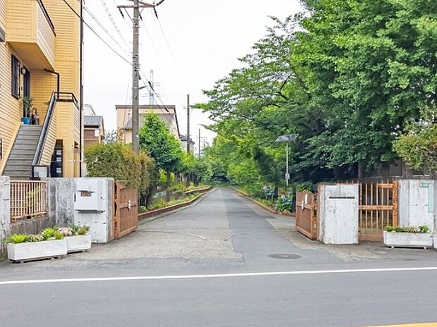 中学校 1900m 草加市立川柳中学校