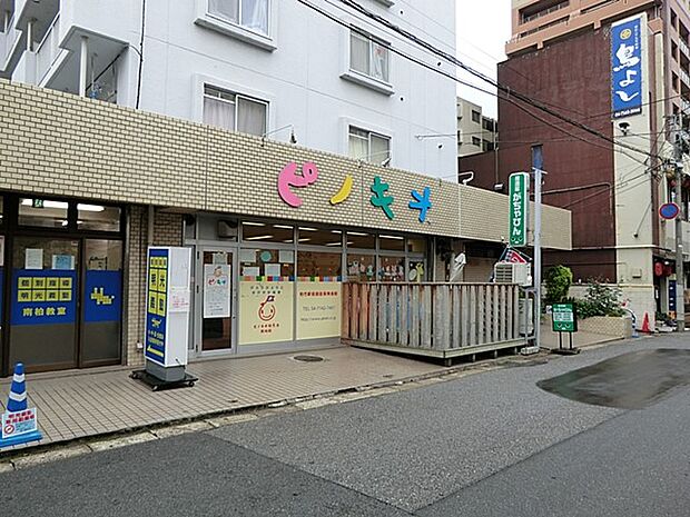 幼稚園・保育園 1000m ピノキオ幼児舎 南柏保育園