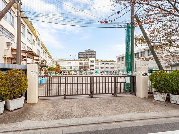 中学校 700m 葛飾区立四ツ木中学校