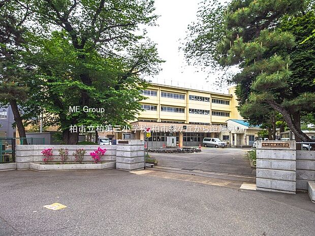 小学校 610m 柏市立柏第三小学校
