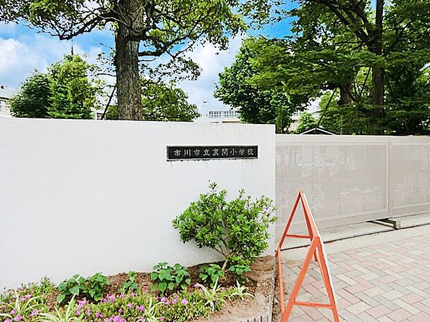 小学校 450m 市川市立真間小学校