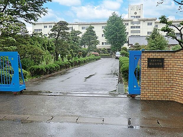小学校 780m 我孫子市立湖北小学校