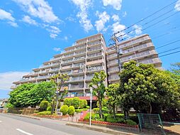 鳩ケ谷スカイハイツ