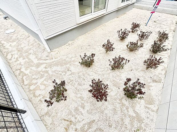 明るさたっぷりのお庭