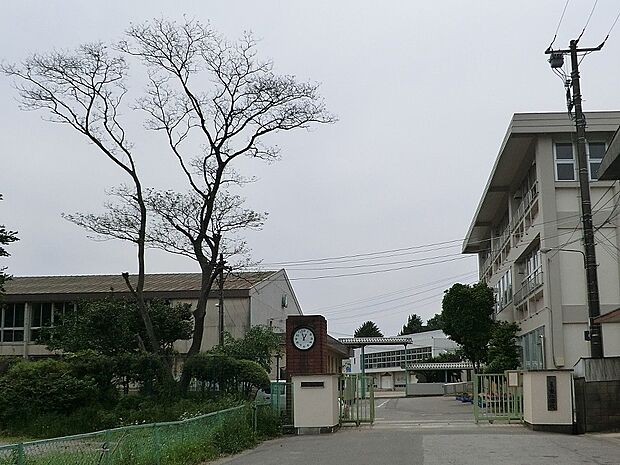 小学校 800m 流山市立東小学校