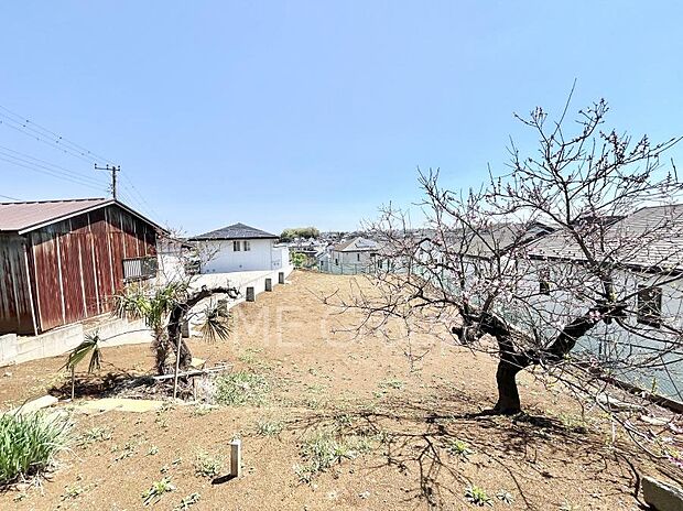 溢れる陽光でご家族の笑顔も輝く