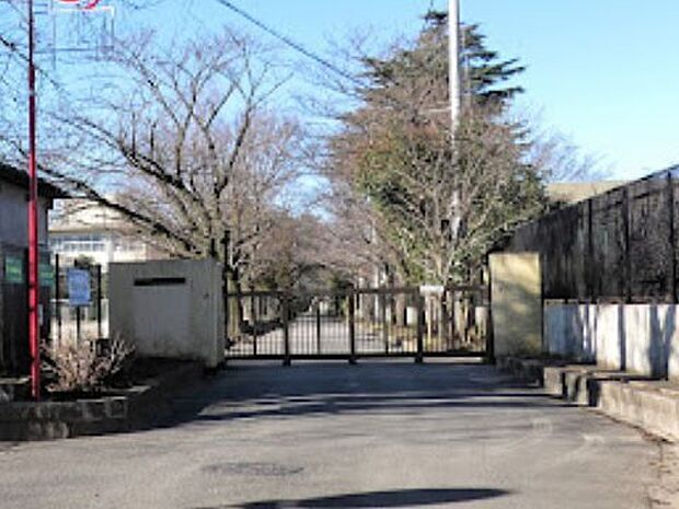 中学校 2600m 市川市立第一中学校