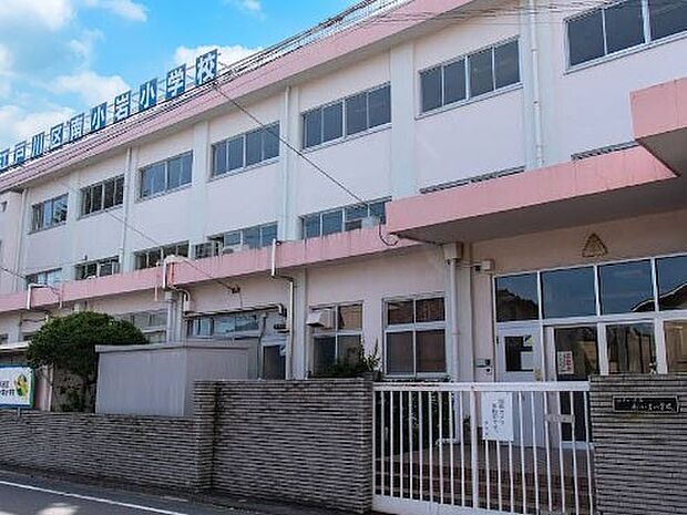 小学校 350m 江戸川区立南小岩小学校