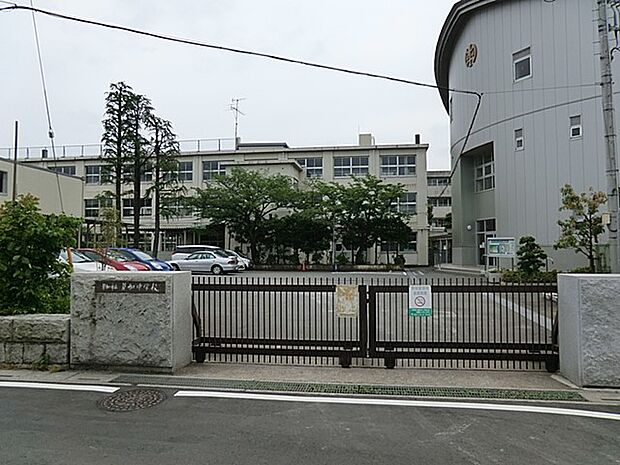 中学校 600m 草加市立草加中学校