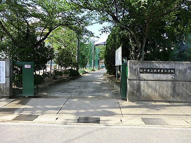 小学校 580m 松戸市立殿平賀小学校