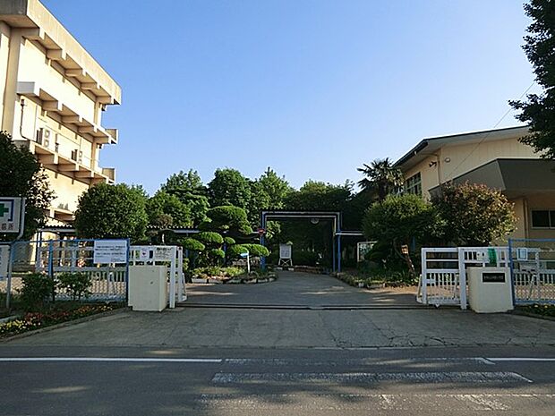 小学校 439m 柏市立酒井根小学校
