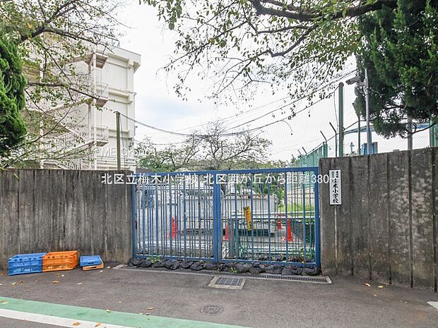 小学校 380m 北区立梅木小学校