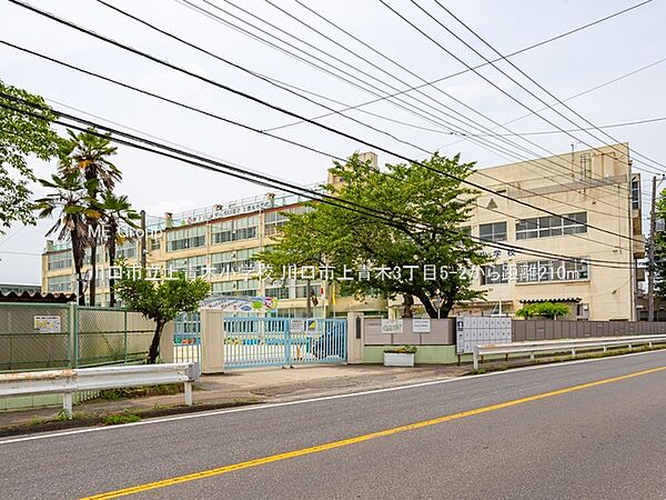 小学校 210m 川口市立上青木小学校
