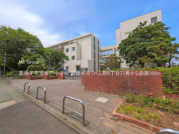 小学校 300m 我孫子市立根戸小学校