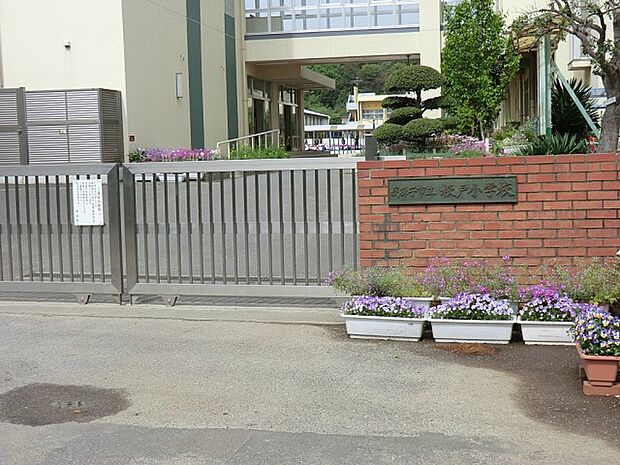 小学校 300m 我孫子市立根戸小学校