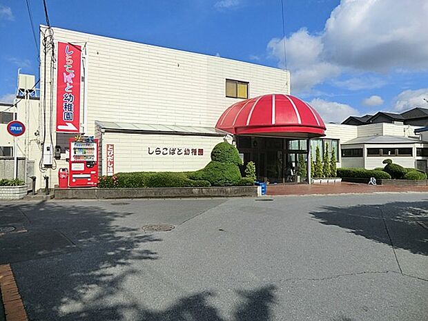 幼稚園・保育園 900m 認定こども園しらこばと幼稚園