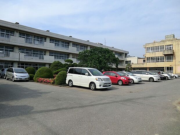 中学校 1900m 野田市立南部中学校