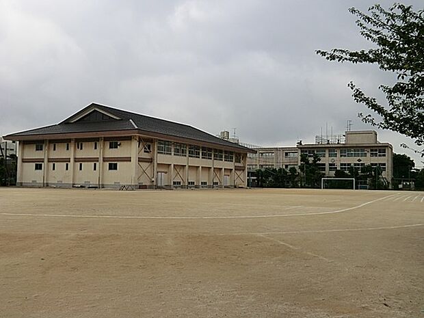 中学校 3100m 市川市立第一中学校
